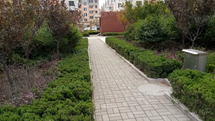 盛泰梅花生态港外景图