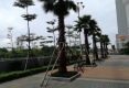 嘉和冠山海4