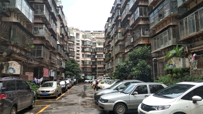 柳苑小区外景图