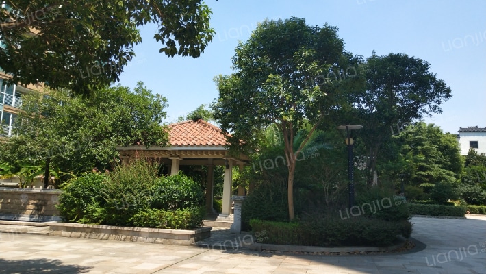 龙庭国际外景图