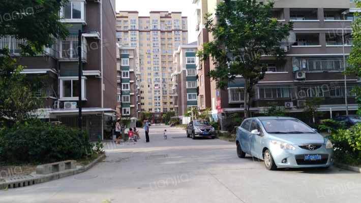 都市五星外景图