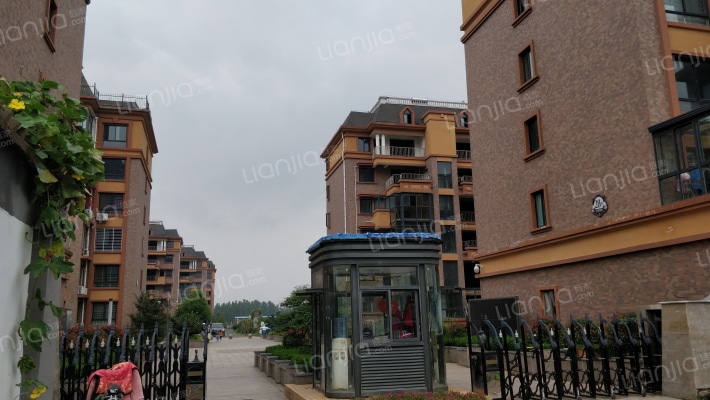 达信国际外景图