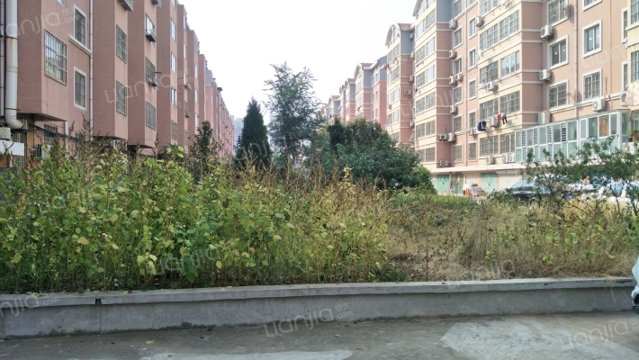 大同新区外景图