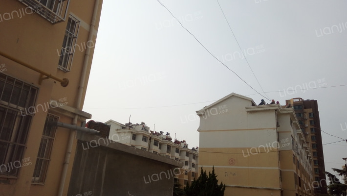 芝山花园外景图