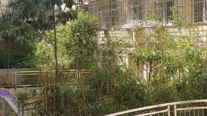 靓丽苑小区外景图