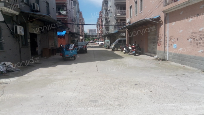 商城新村五区外景图