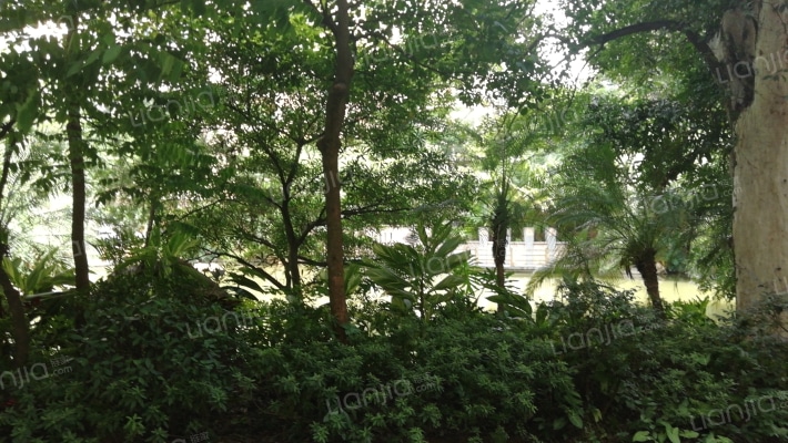 帝景豪庭外景图