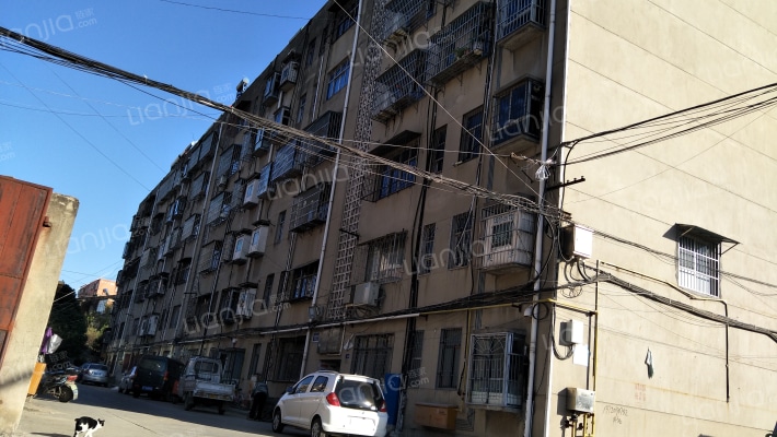 真龙公司住宅区外景图