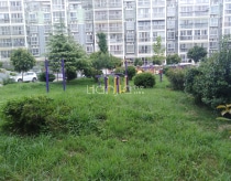 东方明珠