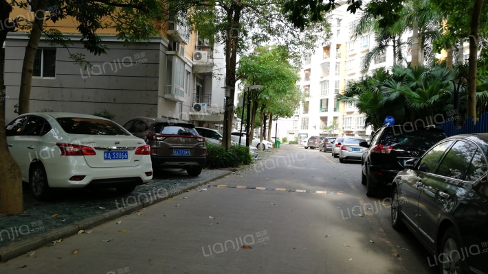 阳光新城风林苑外景图