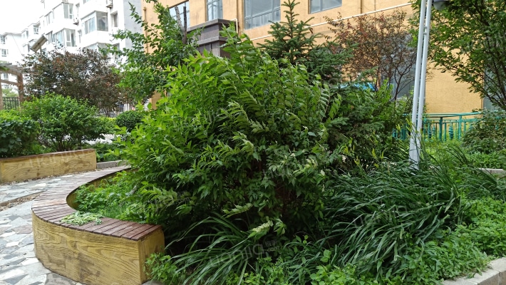 名城华府外景图