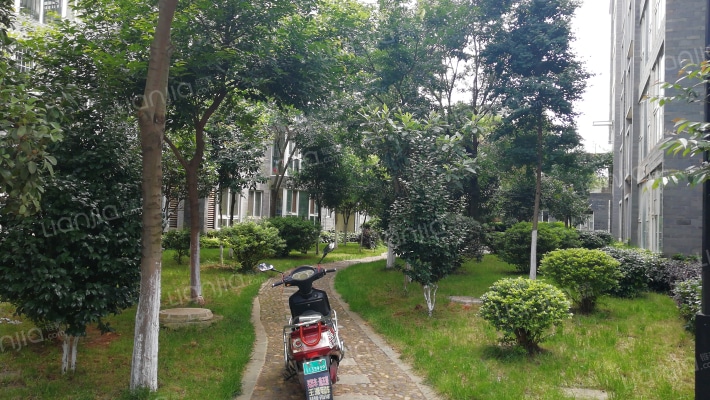 官南城北区外景图