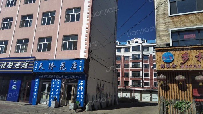 鼎鑫家园二期外景图