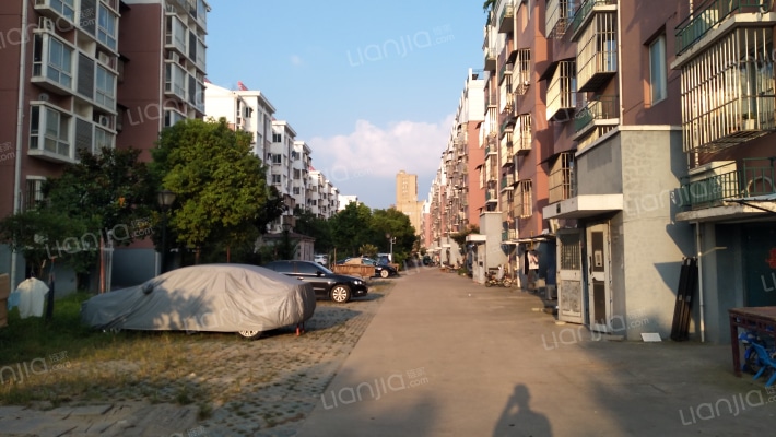 金荷花园外景图