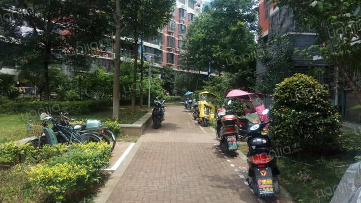 英德利花园西苑大湖春天外景图