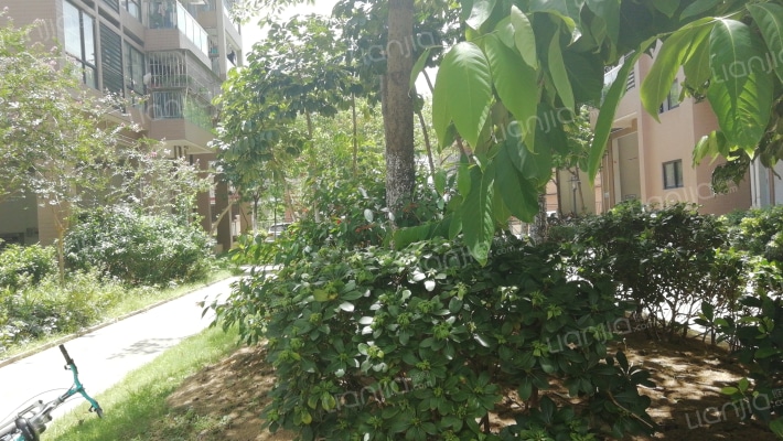 海畔馨苑外景图