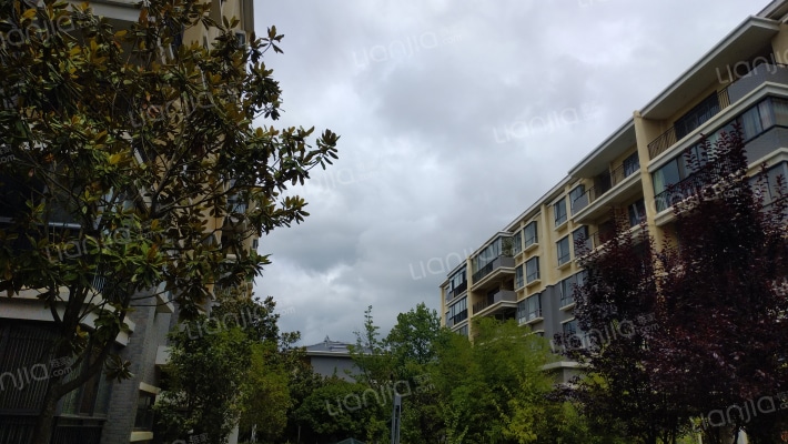 滇池星城星晴湾 外景图