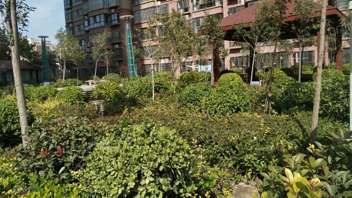 祥龙佳苑外景图