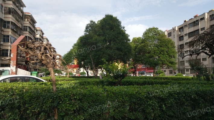 颖河小区外景图