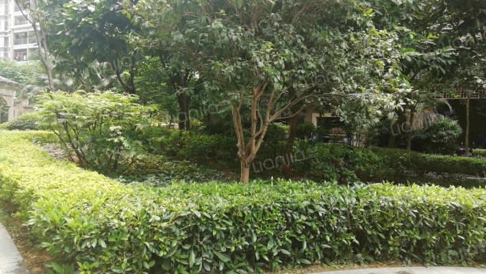 城市花园紫荆苑外景图