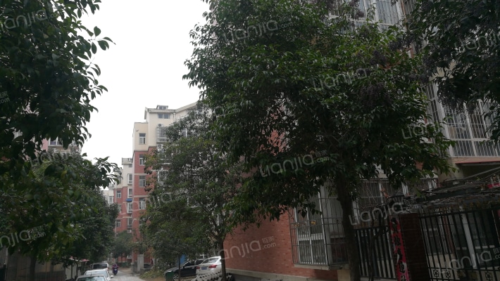 名门盛世外景图