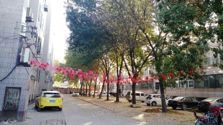 国税局宿舍外景图