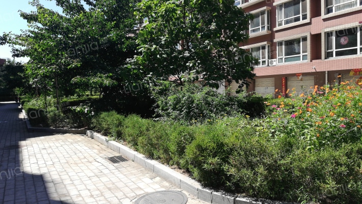 东祥家园外景图