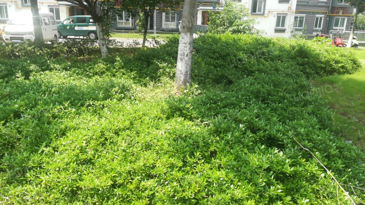 金丰社区外景图