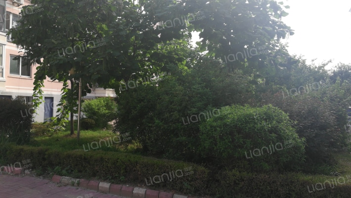 卿华苑小区外景图