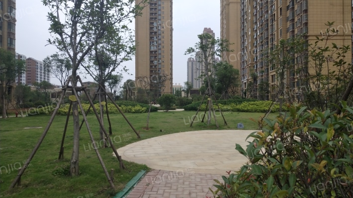 常绿·林溪谷外景图