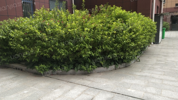 丹建新时代外景图