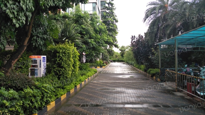 云星钱隆天下北区外景图