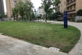 中科花苑20
