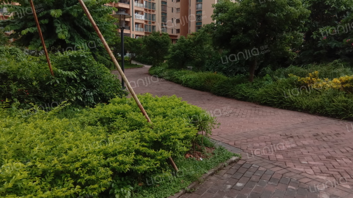 南灣·豪庭外景图