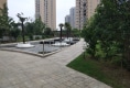 中科花苑19