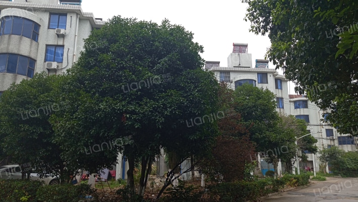 教师新村(江阴市)外景图