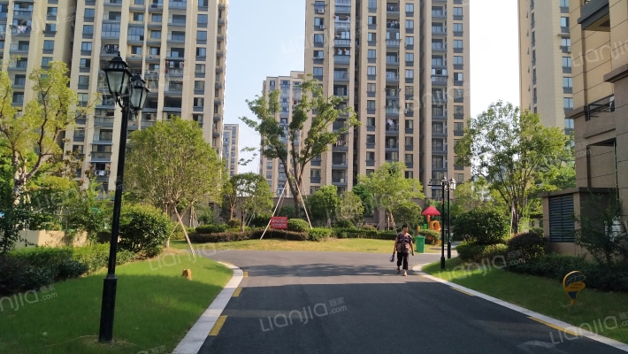 鼎盛苑A区外景图