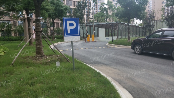 金成三村外景图