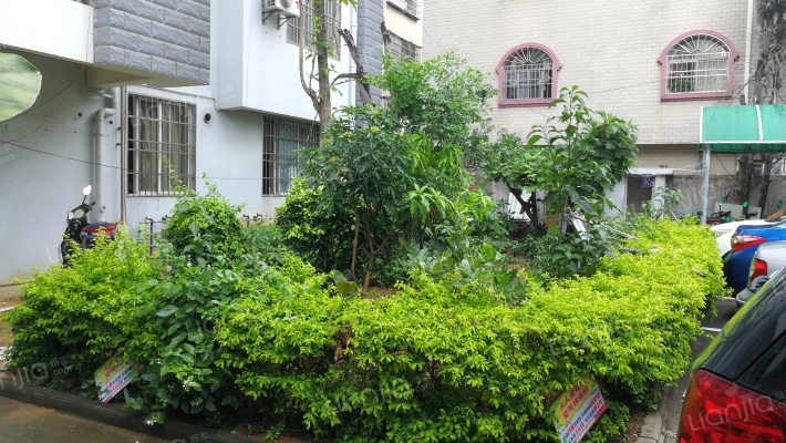 滨城公寓外景图