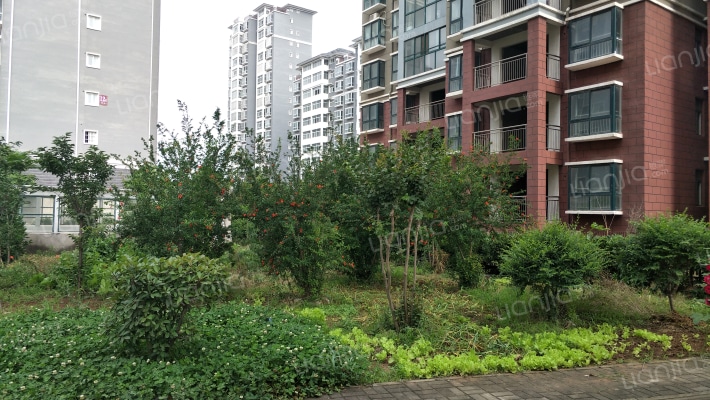 警苑小区外景图