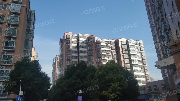 上河御花园外景图