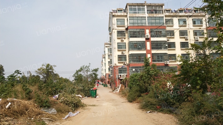 王家响疃外景图