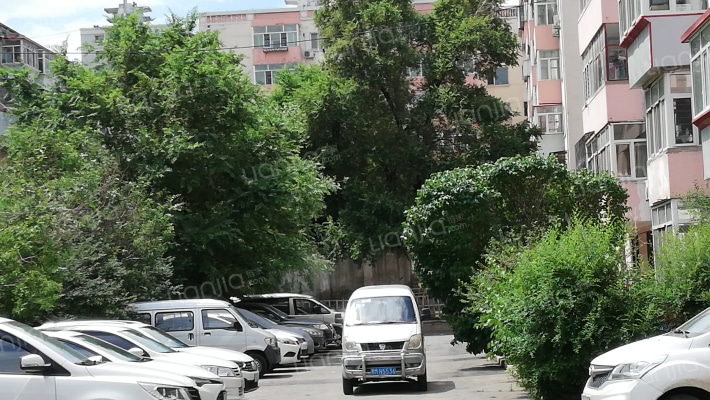 马端小区外景图