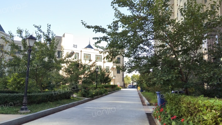 龙泉名城外景图