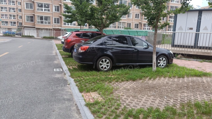 厚朴水岸春晓外景图