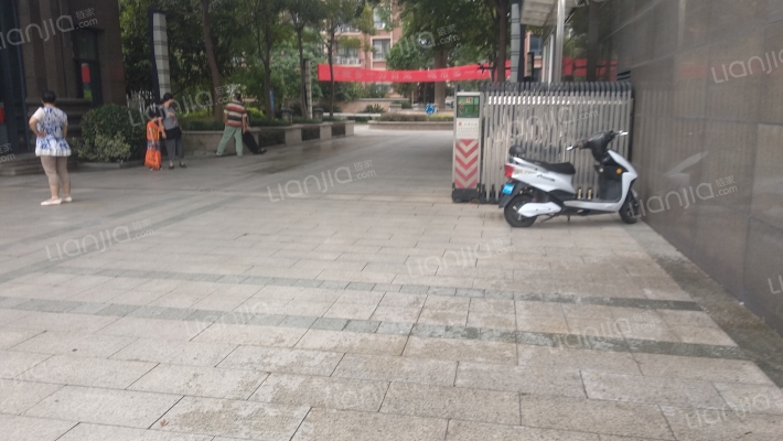 菊韵花苑外景图