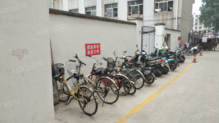 周口一高家属院(育新街)外景图