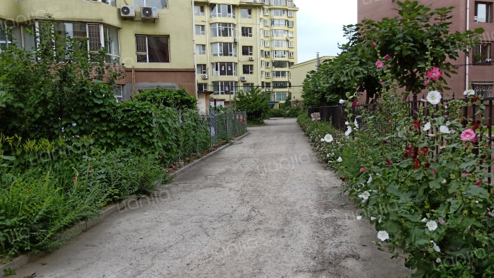 都豪家园外景图