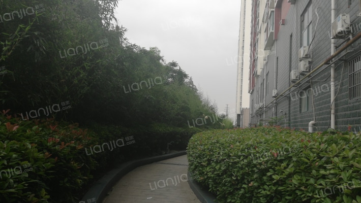 东方星河湾外景图