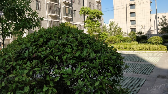 中星嘉园外景图